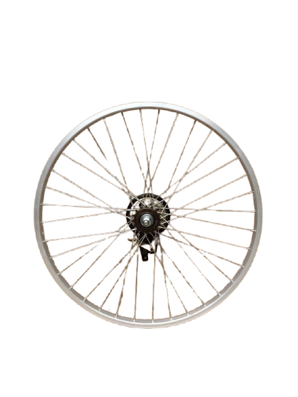 electric rim for bicycle Philodo Bike Style:Carnival Check Wychwood Landing Net Riot E-Bike Upgrade Parts Description Rim+Spokes+Inner Tube+Outer Tire+disc